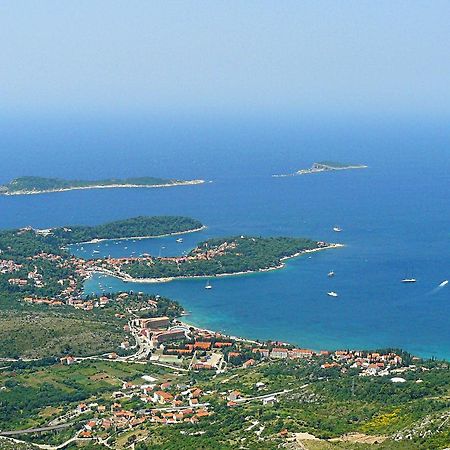 Fenix Two Bedroom Apartments Cavtat Extérieur photo